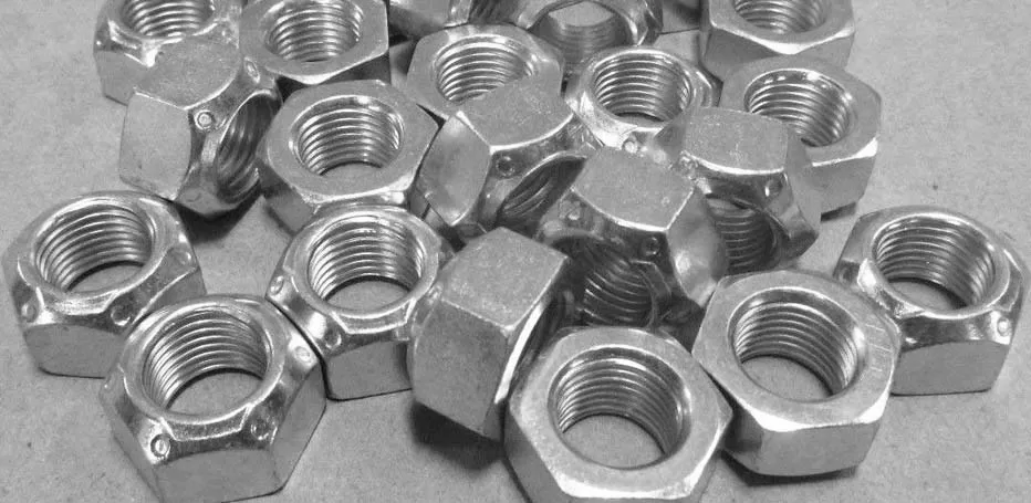 Stainless Steel 317/317L Nuts Manufacturer
